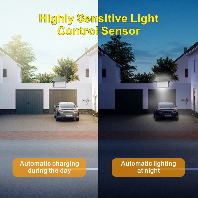 1-241113142452527 1-241113142452527