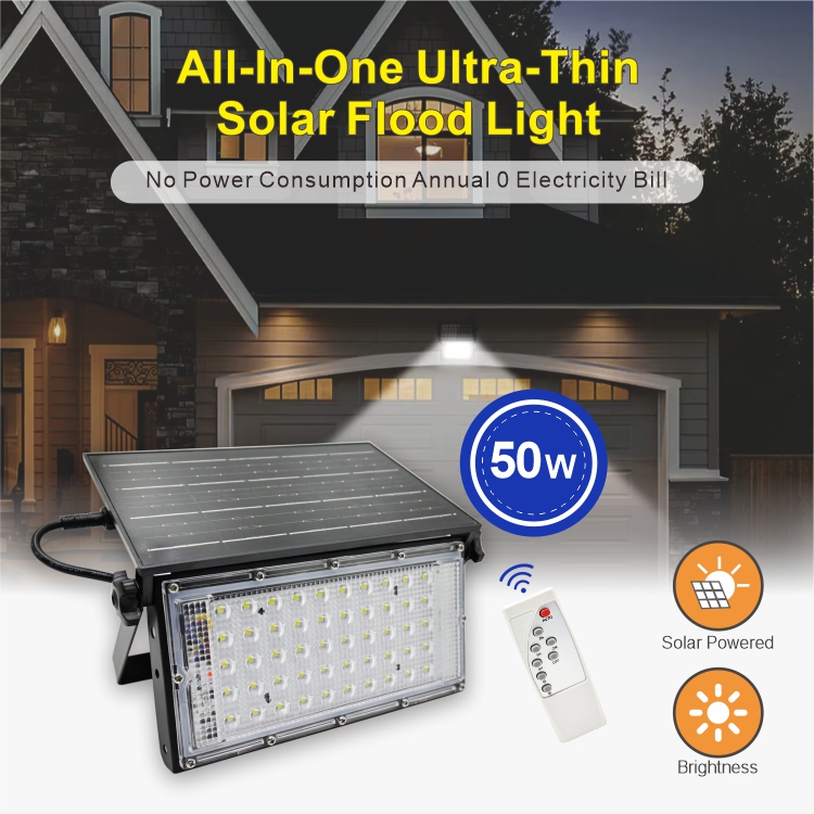 1-241113153404615 1-241113153404615