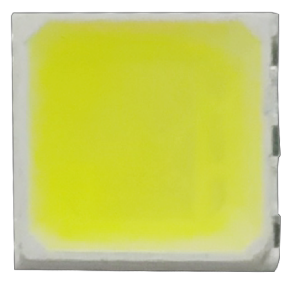 suncitygroup̫--ٷվ